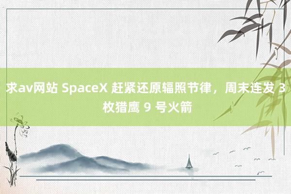 求av网站 SpaceX 赶紧还原辐照节律，周末连发 3 枚猎鹰 9 号火箭