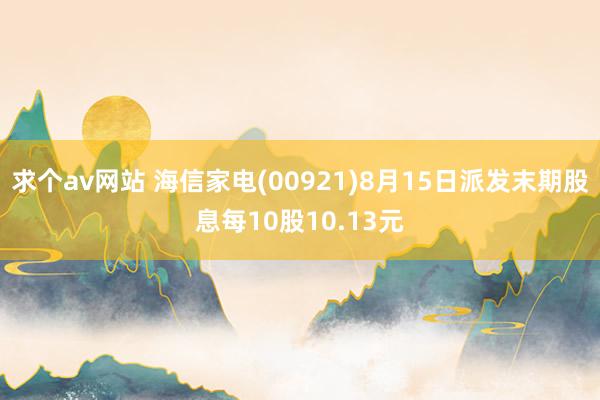 求个av网站 海信家电(00921)8月15日派发末期股息每10股10.13元