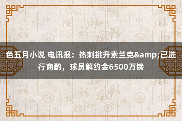 色五月小说 电讯报：热刺挑升索兰克&已进行商酌，球员解约金6500万镑