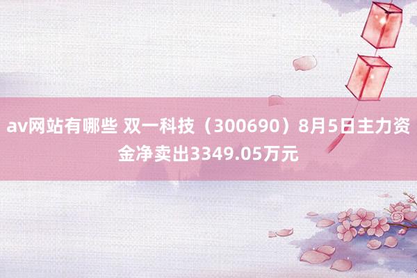 av网站有哪些 双一科技（300690）8月5日主力资金净卖出3349.05万元