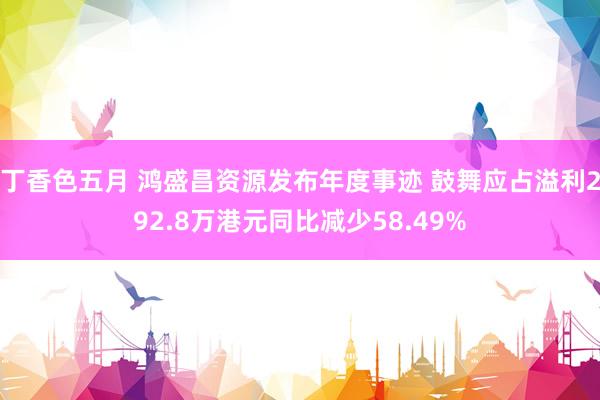 丁香色五月 鸿盛昌资源发布年度事迹 鼓舞应占溢利292.8万港元同比减少58.49%