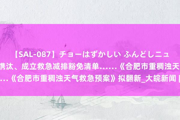 【SAL-087】チョーはずかしい ふんどしニューハーフ 2 预警启动尺度镌汰、成立救急减排豁免清单……《合肥市重稠浊天气救急预案》拟翻新_大皖新闻 | 安徽网