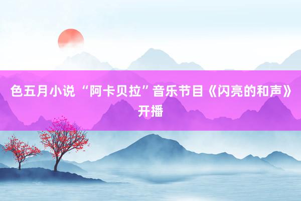 色五月小说 “阿卡贝拉”音乐节目《闪亮的和声》开播