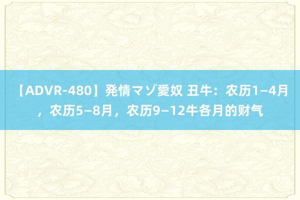 【ADVR-480】発情マゾ愛奴 丑牛：农历1—4月，农历5—8月，农历9—12牛各月的财气