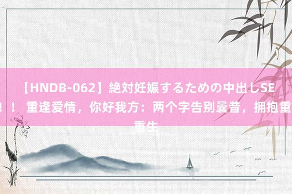 【HNDB-062】絶対妊娠するための中出しSEX！！ 重逢爱情，你好我方：两个字告别曩昔，拥抱重生