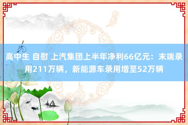 高中生 自慰 上汽集团上半年净利66亿元：末端录用211万辆，新能源车录用增至52万辆