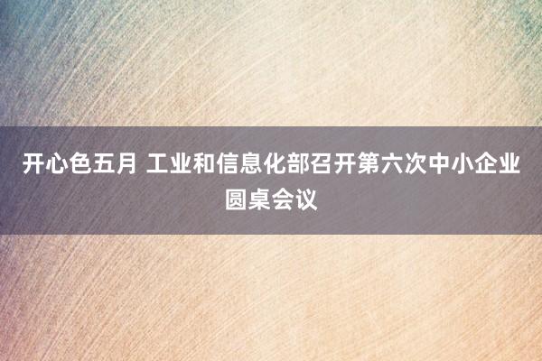 开心色五月 工业和信息化部召开第六次中小企业圆桌会议