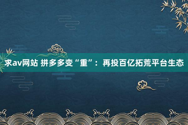 求av网站 拼多多变“重”：再投百亿拓荒平台生态