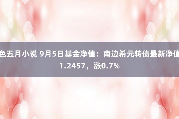 色五月小说 9月5日基金净值：南边希元转债最新净值1.2457，涨0.7%