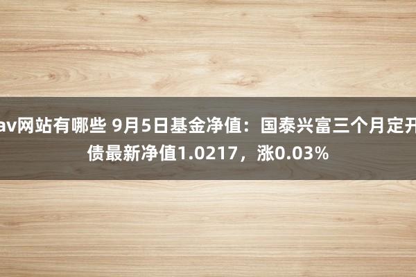 av网站有哪些 9月5日基金净值：国泰兴富三个月定开债最新净值1.0217，涨0.03%