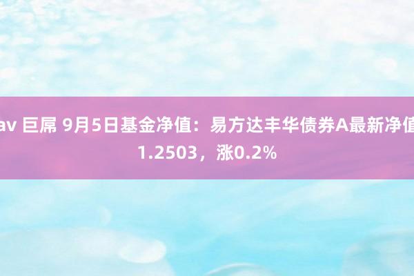 av 巨屌 9月5日基金净值：易方达丰华债券A最新净值1.2503，涨0.2%