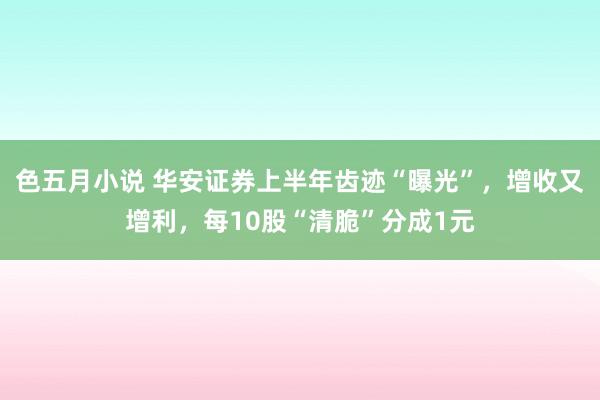 色五月小说 华安证券上半年齿迹“曝光”，增收又增利，每10股“清脆”分成1元