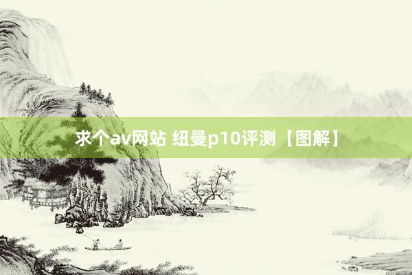 求个av网站 纽曼p10评测【图解】