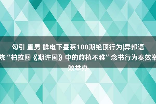 勾引 直男 鲜电下昼茶100期绝顶行为|异邦语学院“柏拉图《期许国》中的莳植不雅”念书行为奏效举办